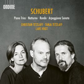 Imagen de portada para Schubert: Chamber Works