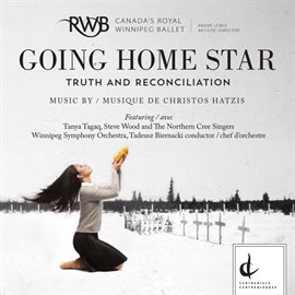 Cover image for Going Home Star: Truth And Reconciliation