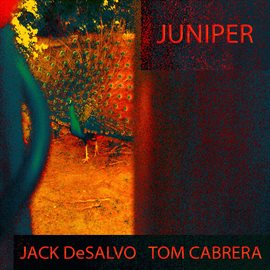 Cover image for Juniper