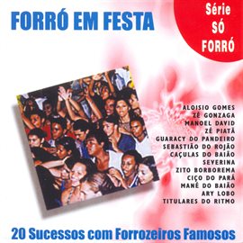 Cover image for Forro Em Festa