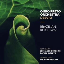 Cover image for Brazilian Rhythms