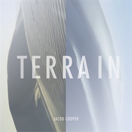 Cover image for Terrain