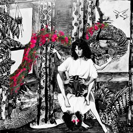 Cover image for The Hem & The Haw
