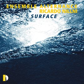 Cover image for Ricardo Nillni: Surface