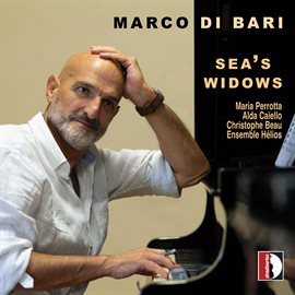 Cover image for Sea's Widows