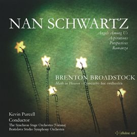 Cover image for Schwartz & Broadstock: Orchestral Works