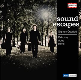 Cover image for Sound Escapes