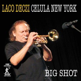 Cover image for Big Shot