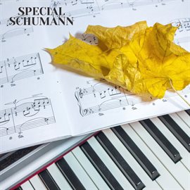 Cover image for Special Schumann