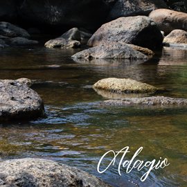 Cover image for Adagio