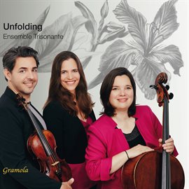 Cover image for Unfolding