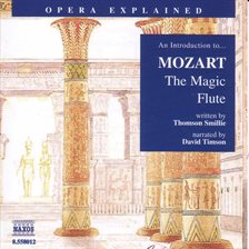 Cover image for The Magic Flute