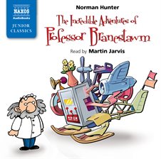 Cover image for The Incredible Adventures of Professor Branestawm