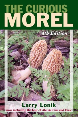 Imagen de portada para The Curious Morel
