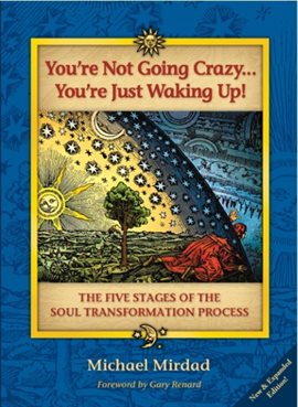 Imagen de portada para You're Not Going Crazy . . . You're Just Waking Up!
