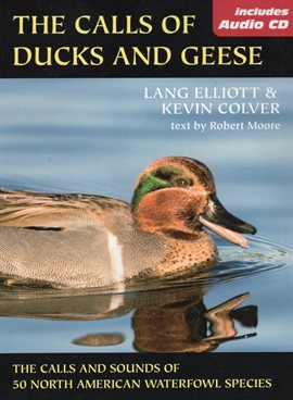 Imagen de portada para The Calls of Ducks & Geese