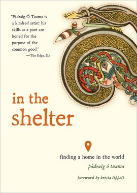 Cover image for In the Shelter