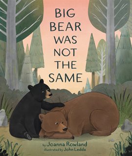 Cover image for Big Bear Was Not the Same