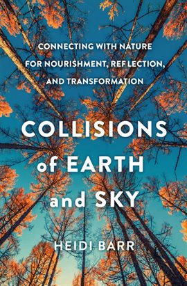 Cover image for Collisions of Earth and Sky