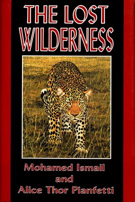Cover image for The Lost Wilderness