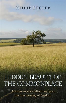 Cover image for Hidden Beauty of the Commonplace