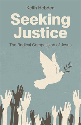 Cover image for Seeking Justice