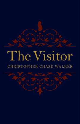 Cover image for The Visitor