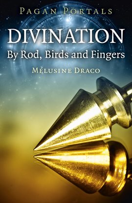 Cover image for Divination
