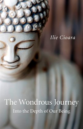 Cover image for The Wondrous Journey