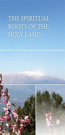 Cover image for The Spiritual Roots of the Holy Land