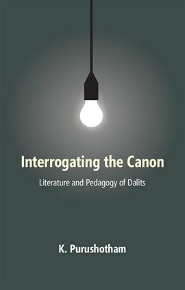 Cover image for Interrogating The Canon