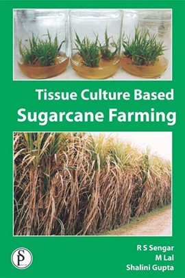Cover image for Tissue Culture Based Sugarcane Farming