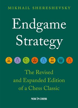 Cover image for Endgame Strategy