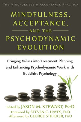 Cover image for Mindfulness, Acceptance, and the Psychodynamic Evolution