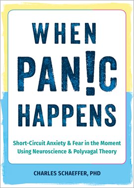 Cover image for When Panic Happens