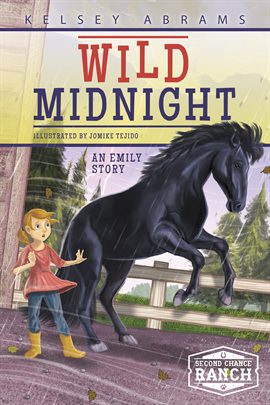 Cover image for Wild Midnight