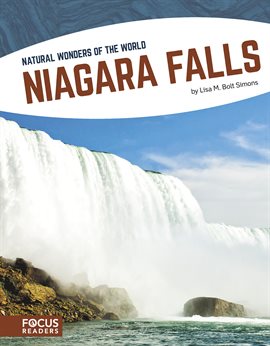 Cover image for Niagara Falls
