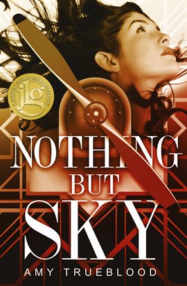 Cover image for Nothing But Sky