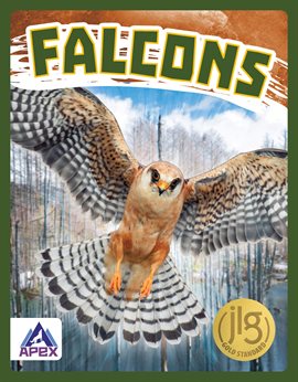 Cover image for Falcons