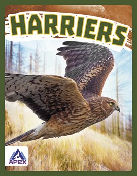 Cover image for Harriers