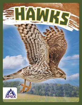 Cover image for Hawks