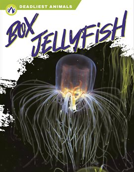 Cover image for Box Jellyfish