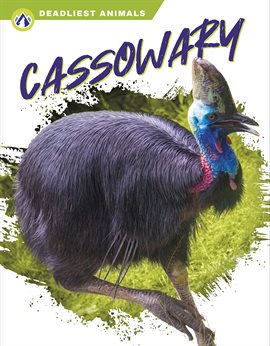 Cover image for Cassowary
