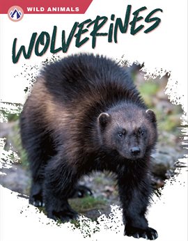 Cover image for Wolverines