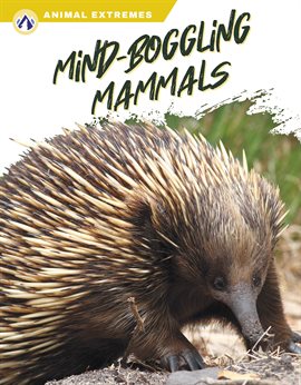 Imagen de portada para Mind-Boggling Mammals