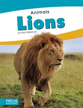 Cover image for Lions