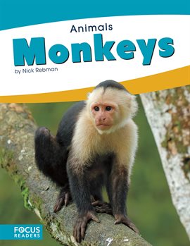 Cover image for Monkeys