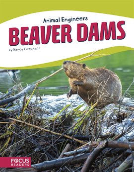 Cover image for Beaver Dams
