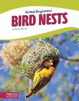 Cover image for Bird Nests