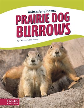 Cover image for Prairie Dog Burrows